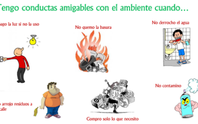 Ambiente: Empecemos el año cuidándolo