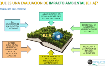 Evaluación de  Impacto Ambiental: Qué es?