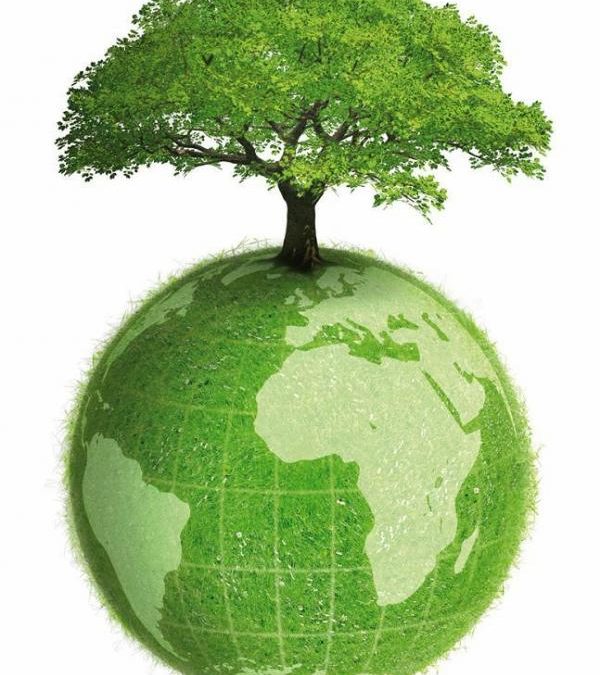 Día del Medioambiente: tomemos conciencia